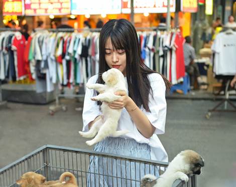 clip_image002.jpg ../../../../Downloads/我最有爱的瞬间.jpg