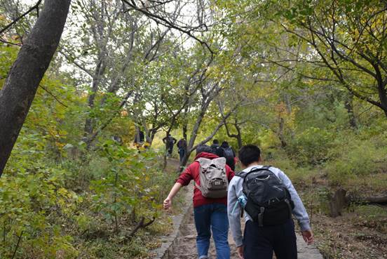 clip_image010.jpg DSC_8506